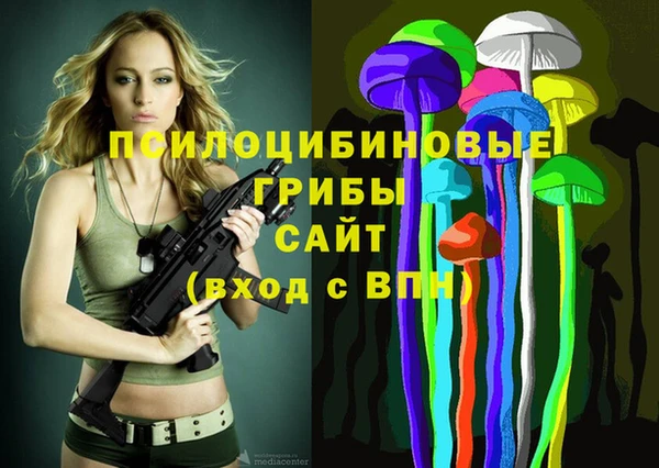 герыч Вяземский