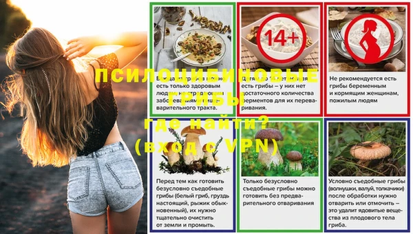 сатива Саяногорск