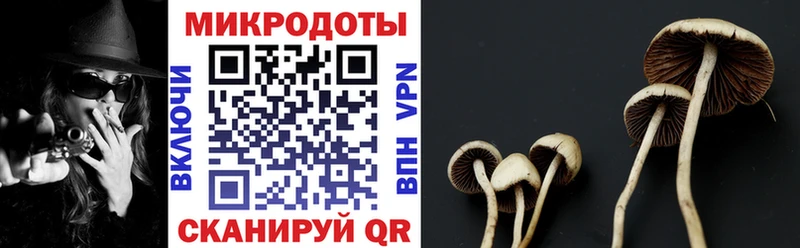 Галлюциногенные грибы Psilocybe  даркнет сайт  Снежинск 